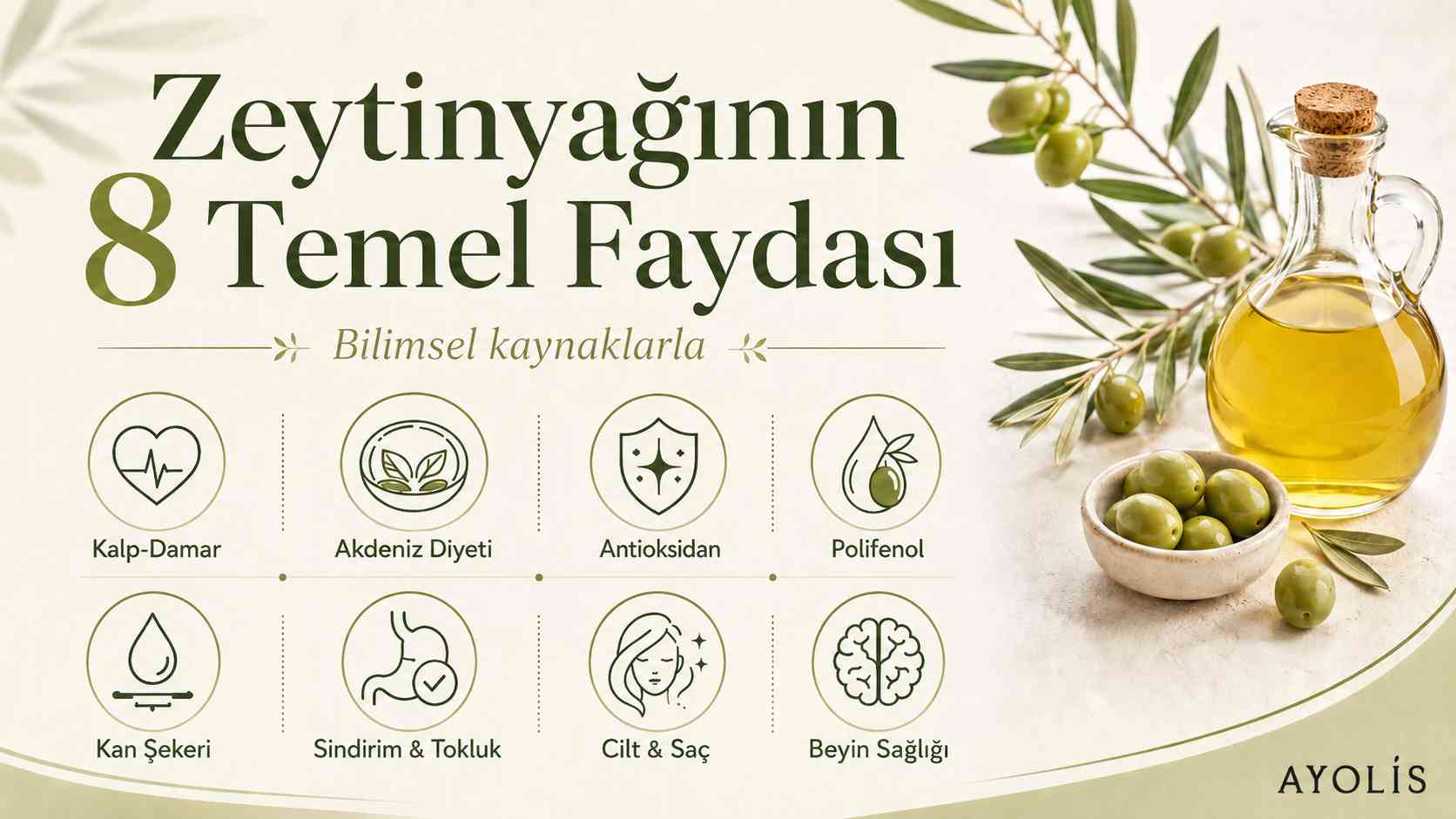 Zeytinyağının 8 temel faydasını ikonlarla anlatan Ayolis blog görseli
