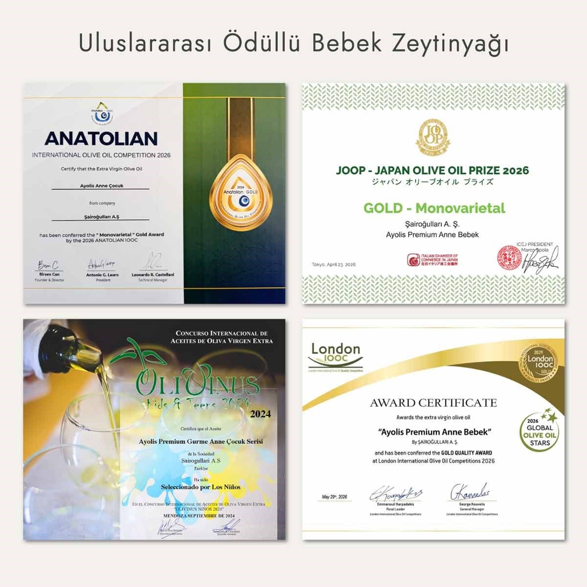Ayolis Premium Anne Bebek Ödüllü Yüksek Polifenollü İlk Hasat Soğuk Sıkım Natürel Sızma Zeytinyağı 500 Ml