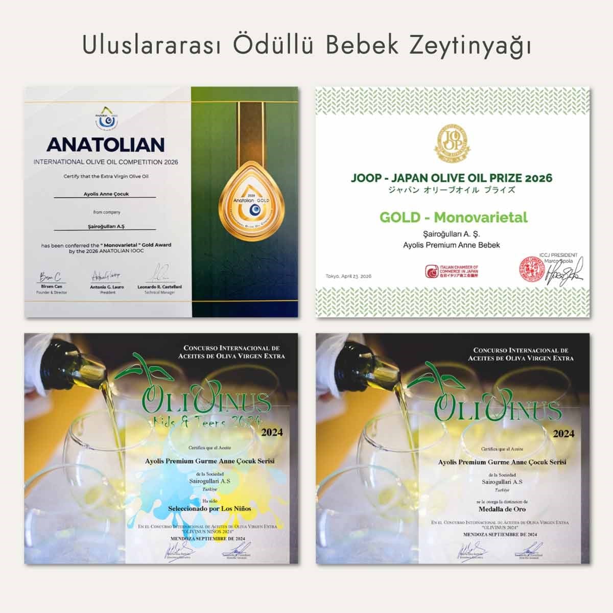 Ayolis Premium Anne Bebek Ödüllü Yüksek Polifenollü İlk Hasat Soğuk Sıkım Natürel Sızma Zeytinyağı 500 Ml