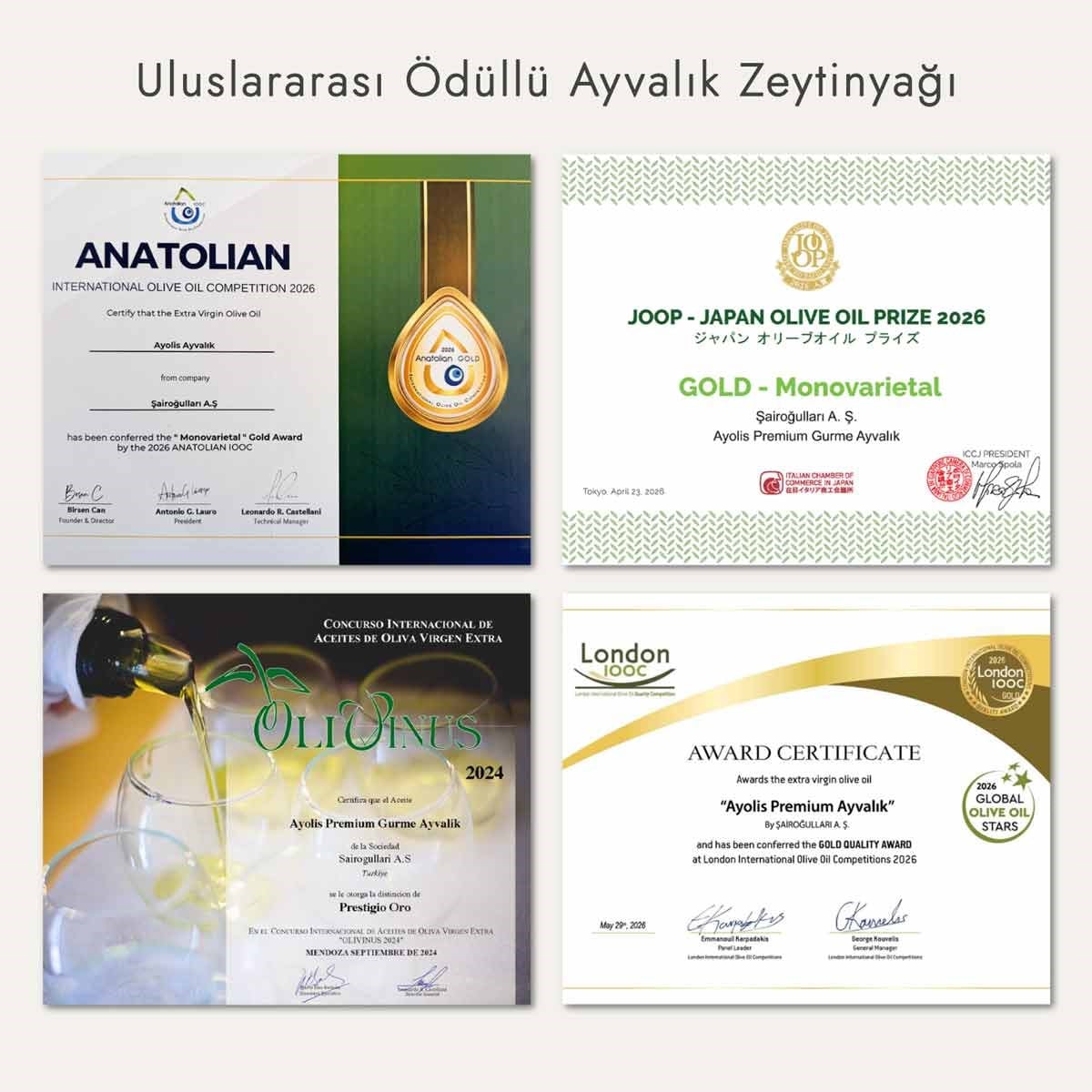 Ayolis Premium Gurme Ayvalık Ödüllü Yüksek Polifenollü Erken Hasat Soğuk Sıkım Natürel Sızma Zeytinyağı 2 Lt