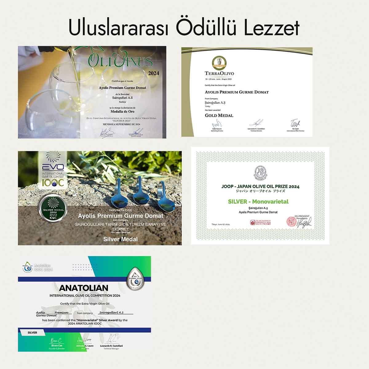 Ayolis Premium Gurme Domat Ödüllü Yüksek Polifenollü Erken Hasat Soğuk Sıkım Natürel Sızma Zeytinyağı 500 Ml