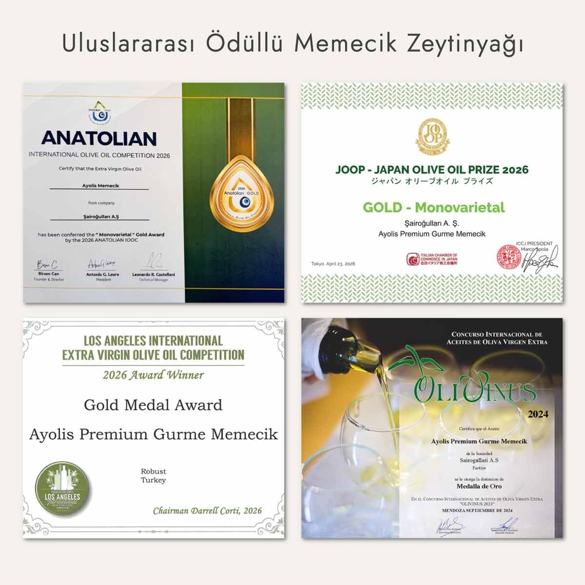 Ayolis Premium Gurme Memecik Ödüllü Yüksek Polifenollü Erken Hasat Soğuk Sıkım Natürel Sızma Zeytinyağı 5 Lt