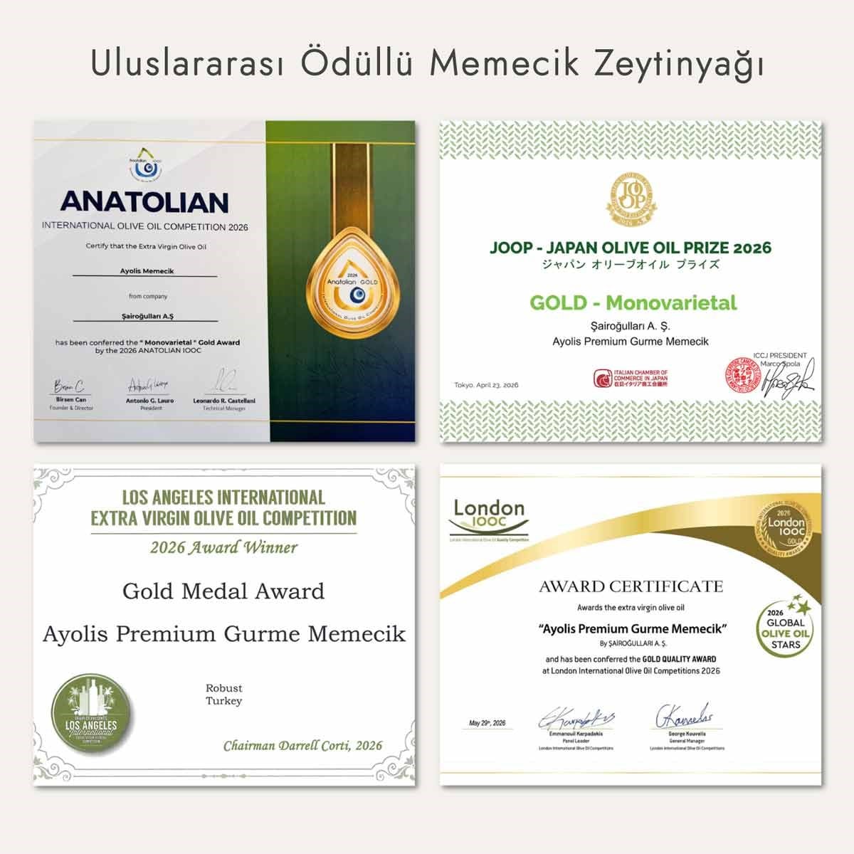 Ayolis Premium Gurme Memecik Ödüllü Yüksek Polifenollü Erken Hasat Soğuk Sıkım Natürel Sızma Zeytinyağı 5 Lt