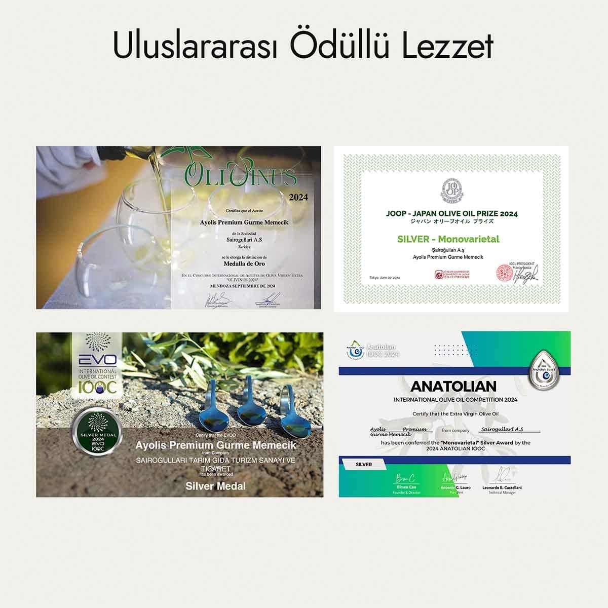 Ayolis Premium Gurme Memecik Ödüllü Yüksek Polifenollü Erken Hasat Soğuk Sıkım Natürel Sızma Zeytinyağı 500 Ml