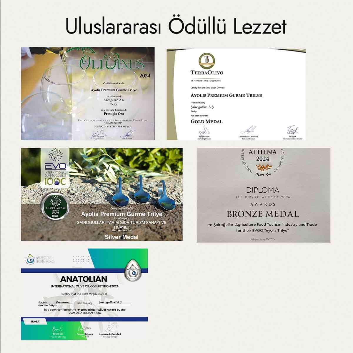 Ayolis Premium Gurme Trilye Ödüllü Yüksek Polifenollü Erken Hasat Soğuk Sıkım Natürel Sızma Zeytinyağı 500 Ml