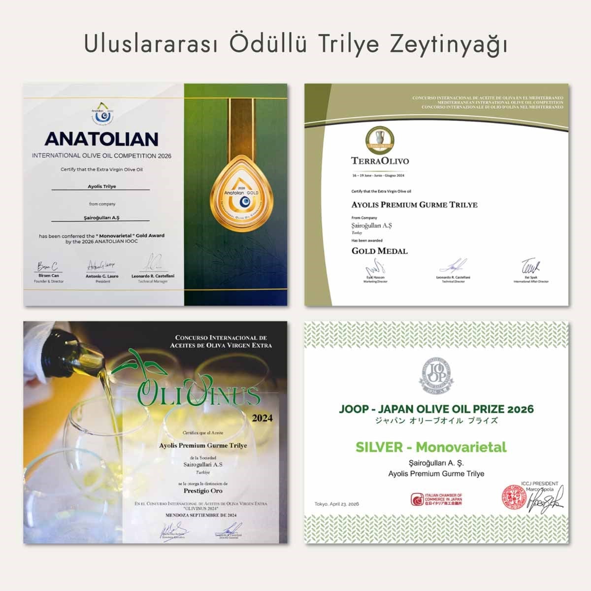 Ayolis Premium Gurme Trilye Ödüllü Yüksek Polifenollü Erken Hasat Soğuk Sıkım Natürel Sızma Zeytinyağı 500 Ml