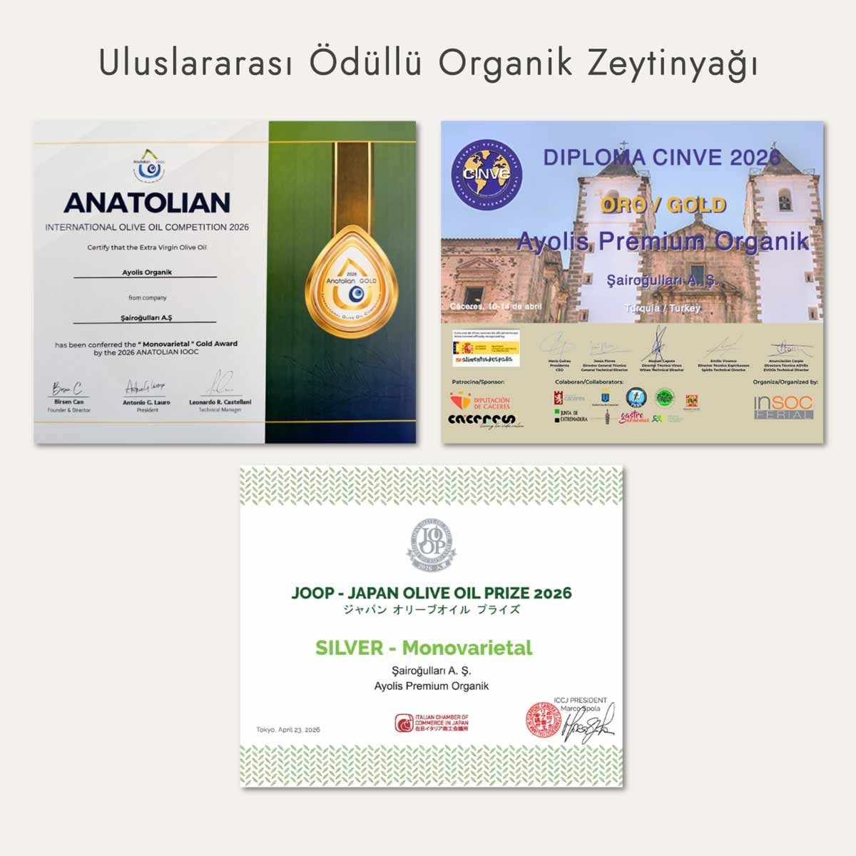 Ayolis Premium Organik Ödüllü Yüksek Polifenollü Soğuk Sıkım Natürel Sızma Zeytinyağı 5 Lt