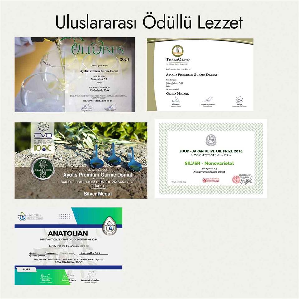 Ayolis Premium Gurme Domat Ödüllü Yüksek Polifenollü Erken Hasat Soğuk Sıkım Natürel Sızma Zeytinyağı 500 Ml