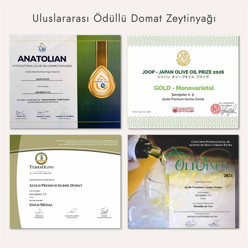 Ayolis Premium Gurme Domat Ödüllü Yüksek Polifenollü Erken Hasat Soğuk Sıkım Natürel Sızma Zeytinyağı 2 Lt