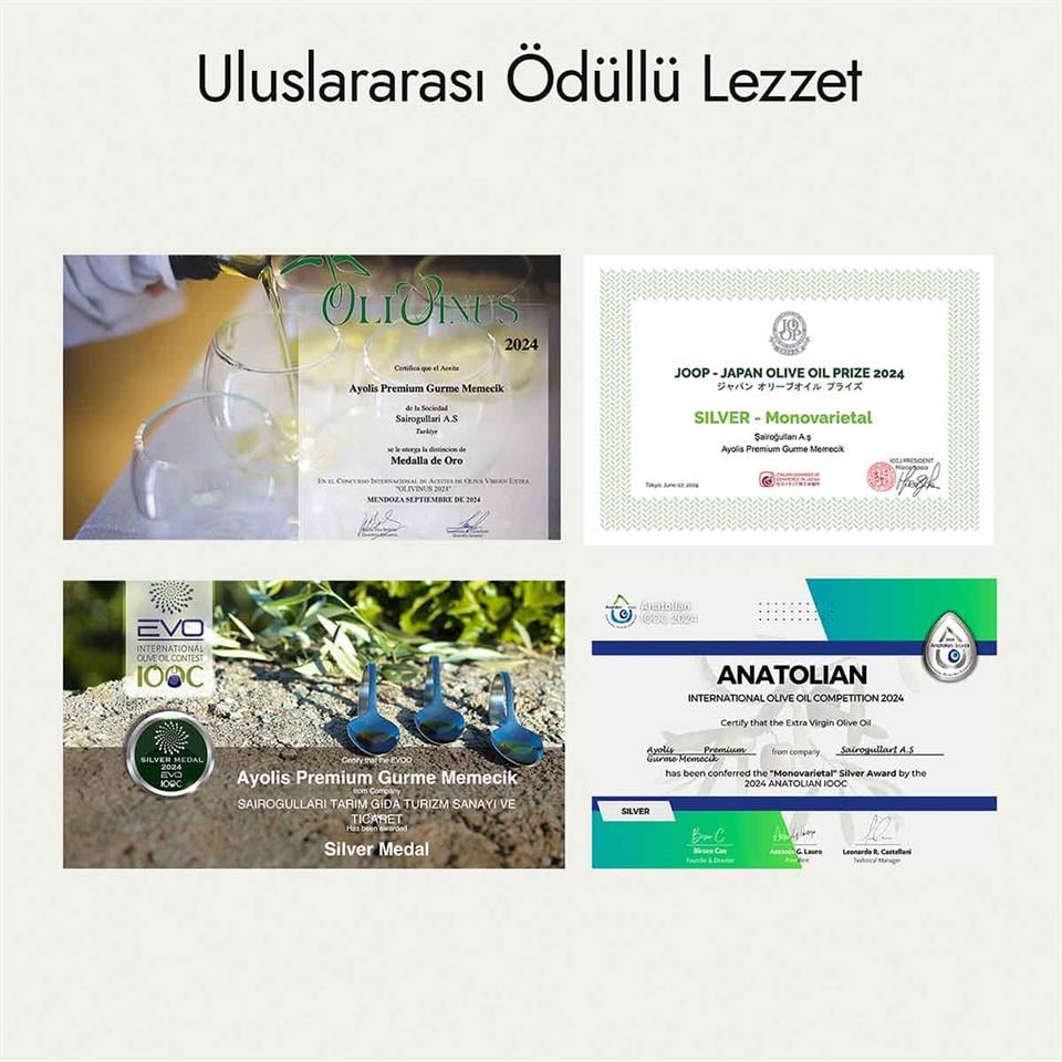 Ayolis Premium Gurme Memecik Ödüllü Yüksek Polifenollü Erken Hasat Soğuk Sıkım Natürel Sızma Zeytinyağı 500 Ml