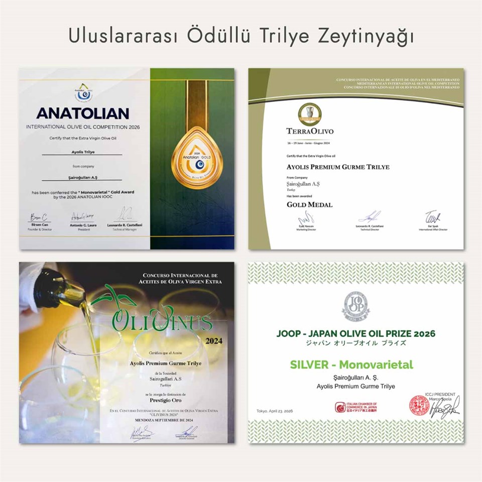 Ayolis Premium Gurme Trilye Ödüllü Yüksek Polifenollü Erken Hasat Soğuk Sıkım Natürel Sızma Zeytinyağı 2 Lt