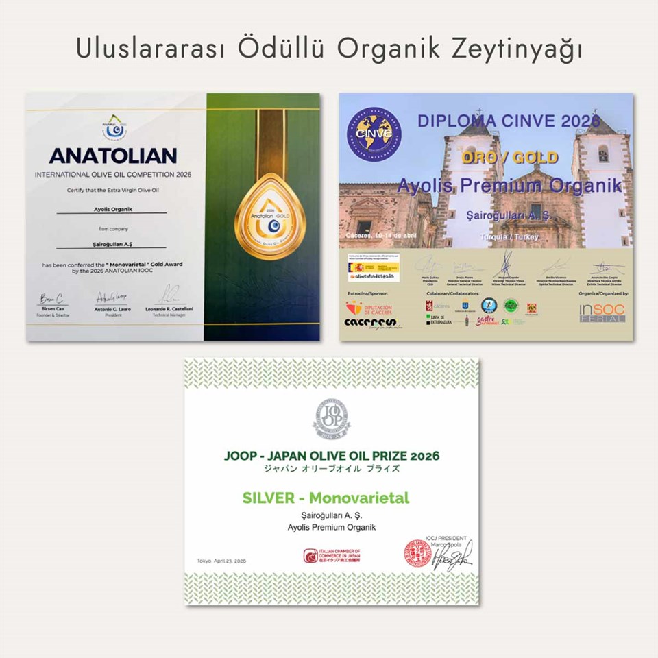 Ayolis Premium Organik Ödüllü Yüksek Polifenollü Soğuk Sıkım Natürel Sızma Zeytinyağı 500 Ml
