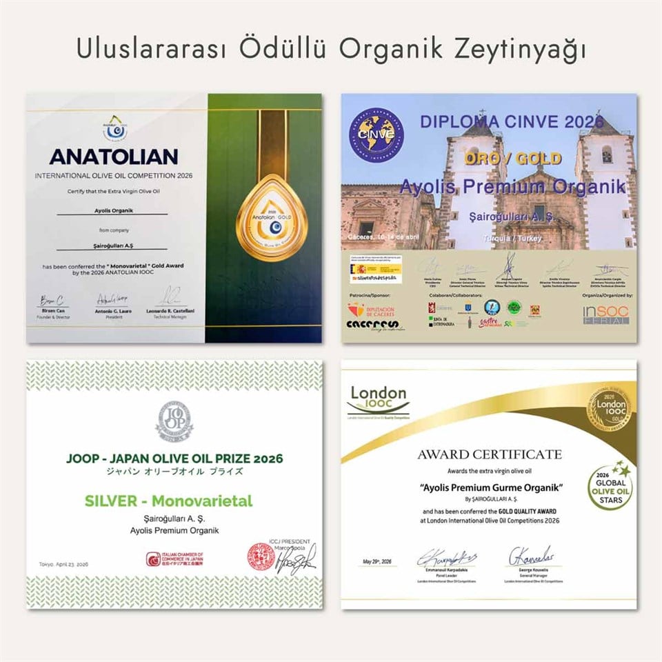Ayolis Premium Organik Ödüllü Yüksek Polifenollü Soğuk Sıkım Natürel Sızma Zeytinyağı 500 Ml