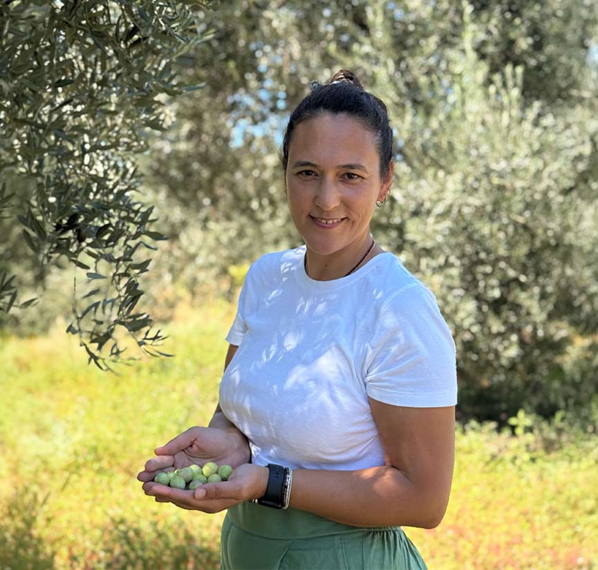 Ayolis kurucusu zeytin bahçesinde erken hasat zeytinleriyle