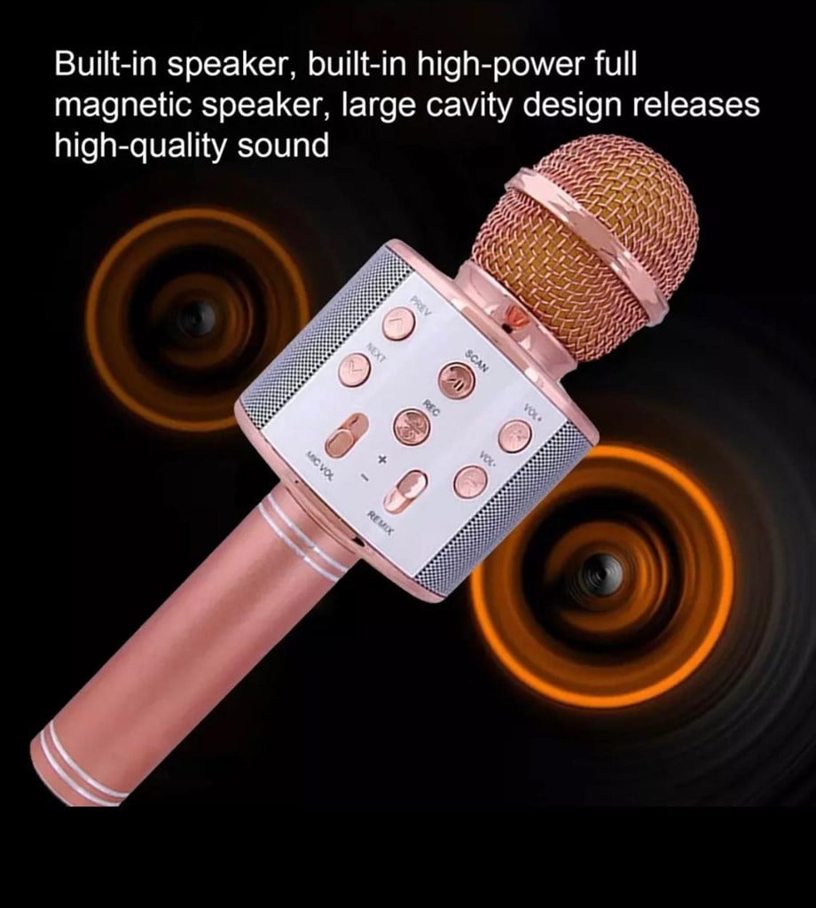 Ws-858 Karaoke Mikrofon