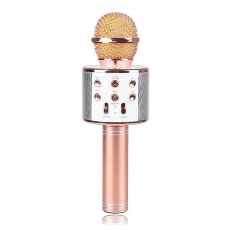 Ws-858 Karaoke Mikrofon