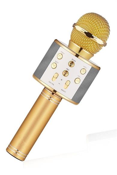 Ws-858 Karaoke Mikrofon