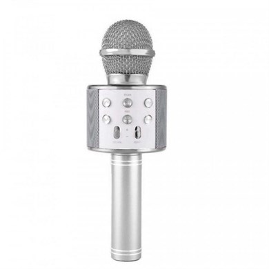 Ws-858 Karaoke Mikrofon