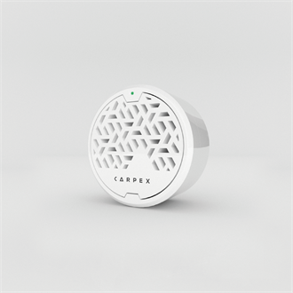 CARPEX AURA WIND  BEYAZ BERGAMOT YEDEK 