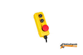 Rtrmax RTM450 250/500 kg Elektrikli Vinç
