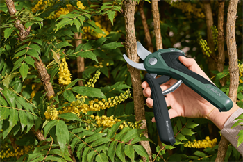 Bosch Easy Prune Akülü Bahçe Makası