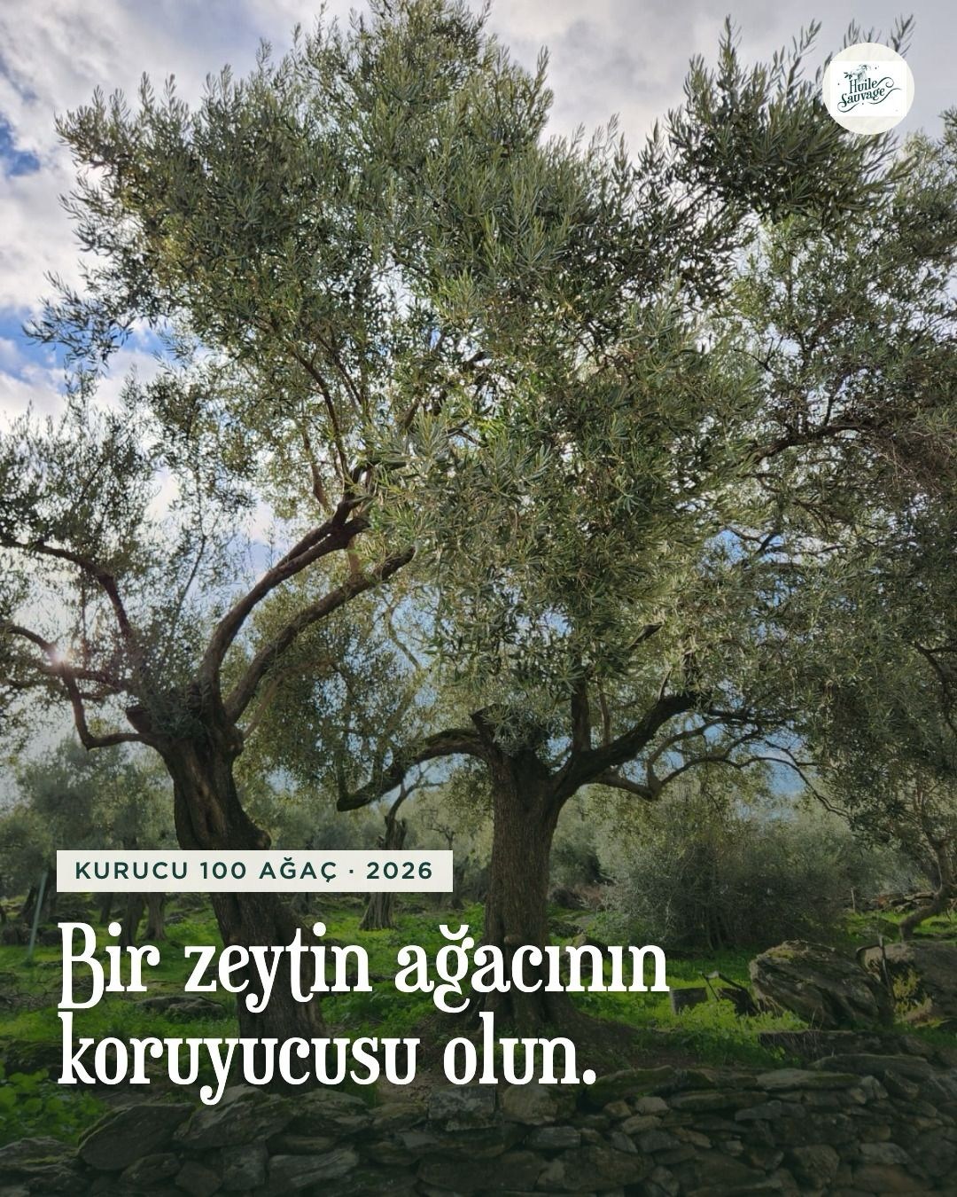 Koruyuculuk Programı