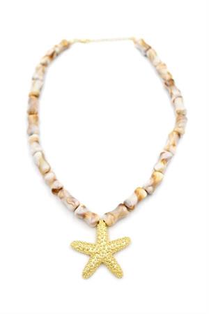 Deniz Kabuklu Yıldız Kolye - Altın