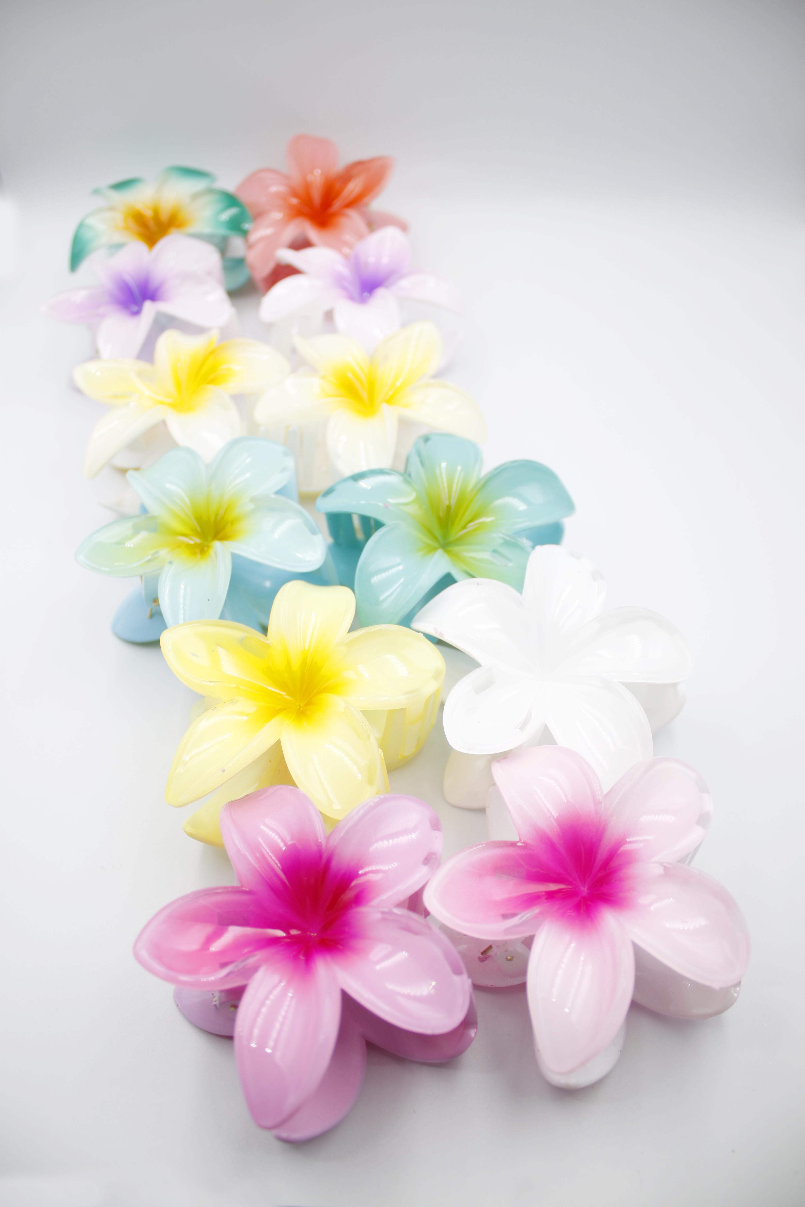 12'li Plumeria Çiçek Toka - ÇOK RENKLİ