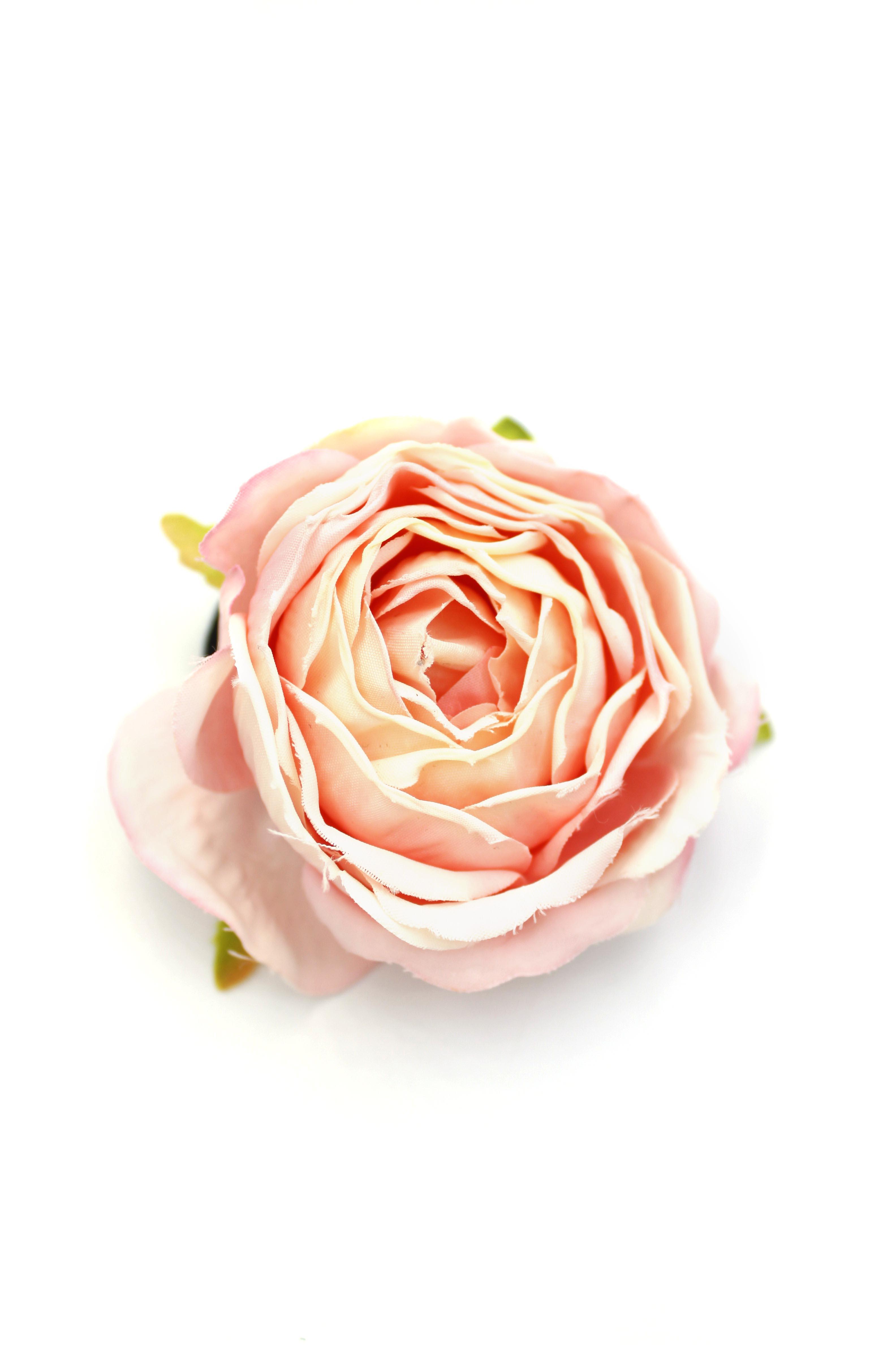 Gül Toka - Pembe