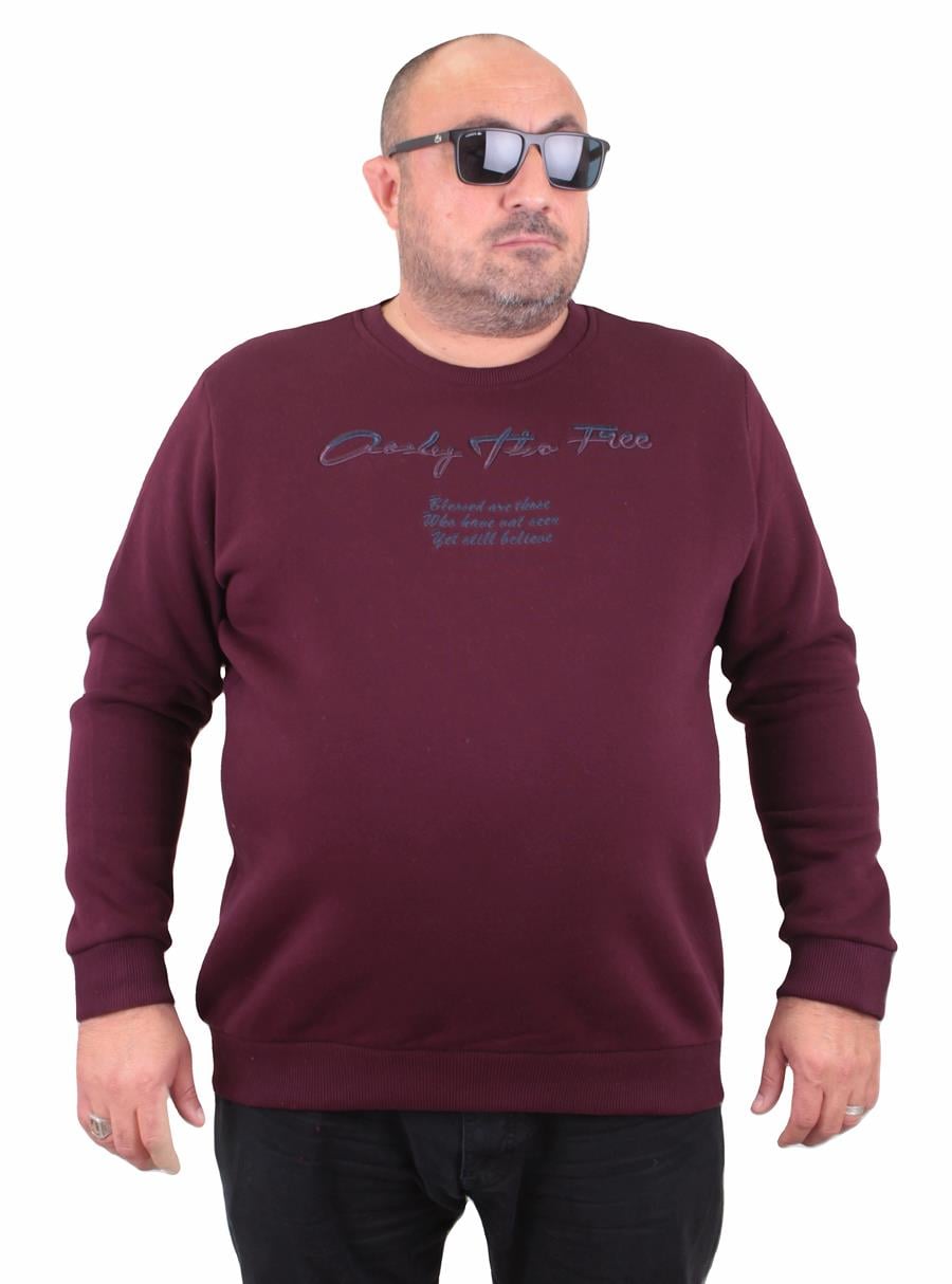 Mocgrande Erkek Büyük Beden Sıfır Yaka Sweat Only Free 23202 MURDUM