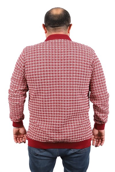 Starbattal Büyük Beden Erkek Sweatshirt Polo Yaka 22714-714