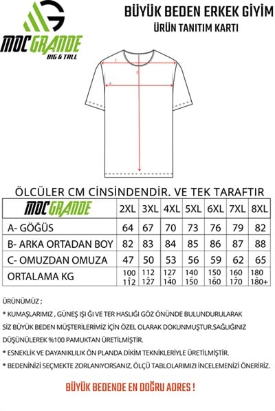 Starbattal Erkek Büyük Beden Tişört Çizgili 22145-548