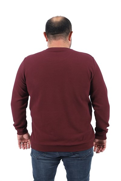 Starbattal Gipeli Sweat  Bisiklet Yaka Wreath 22713-2023