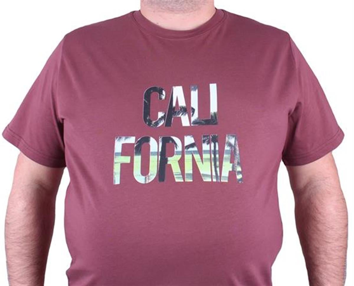 Starbattal Büyük Beden Erkek Sıfır Yaka Tişört California 23120 Eflatun