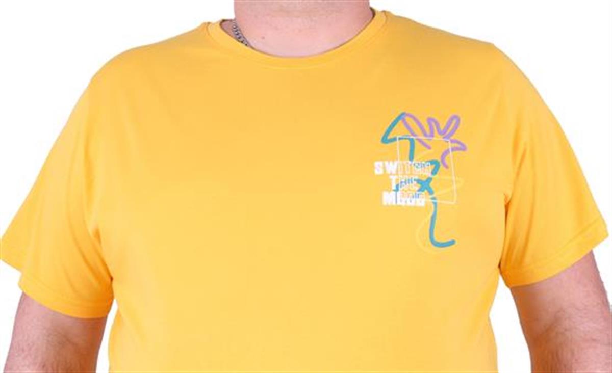 Starbattal Büyük Beden Sıfır Yaka Tişört Play 23108 SARI