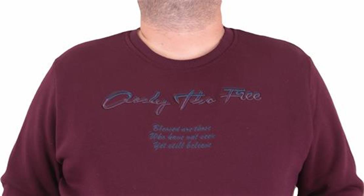 Starbattal Erkek Büyük Beden Sıfır Yaka Sweat Only Free 23202 MURDUM