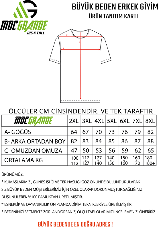 Starbattal Erkek Büyük Beden Sıfır Yaka Tişört Nothing 25173 SIYAH