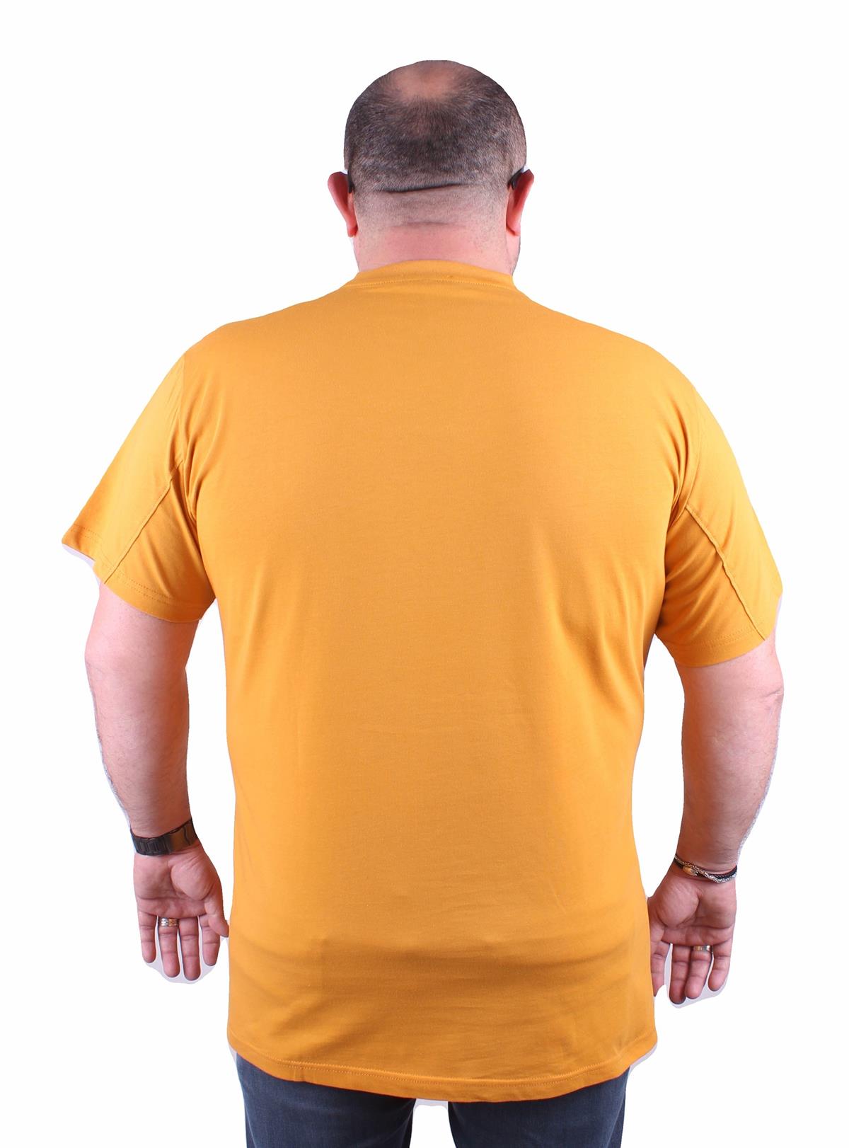 Erkek Büyük Beden Sıfır Yaka Tişört 23166 HARDAL