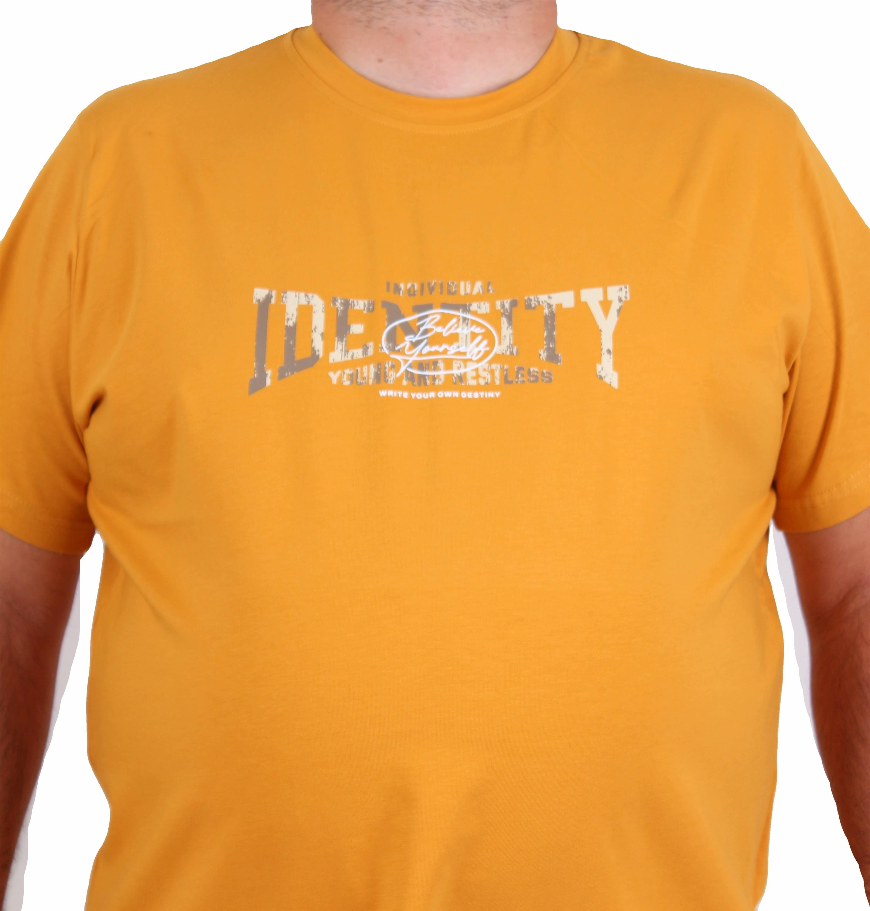 Starbattal Erkek Büyük Beden Sıfır Yaka Tişört Identity 25189 HARDAL