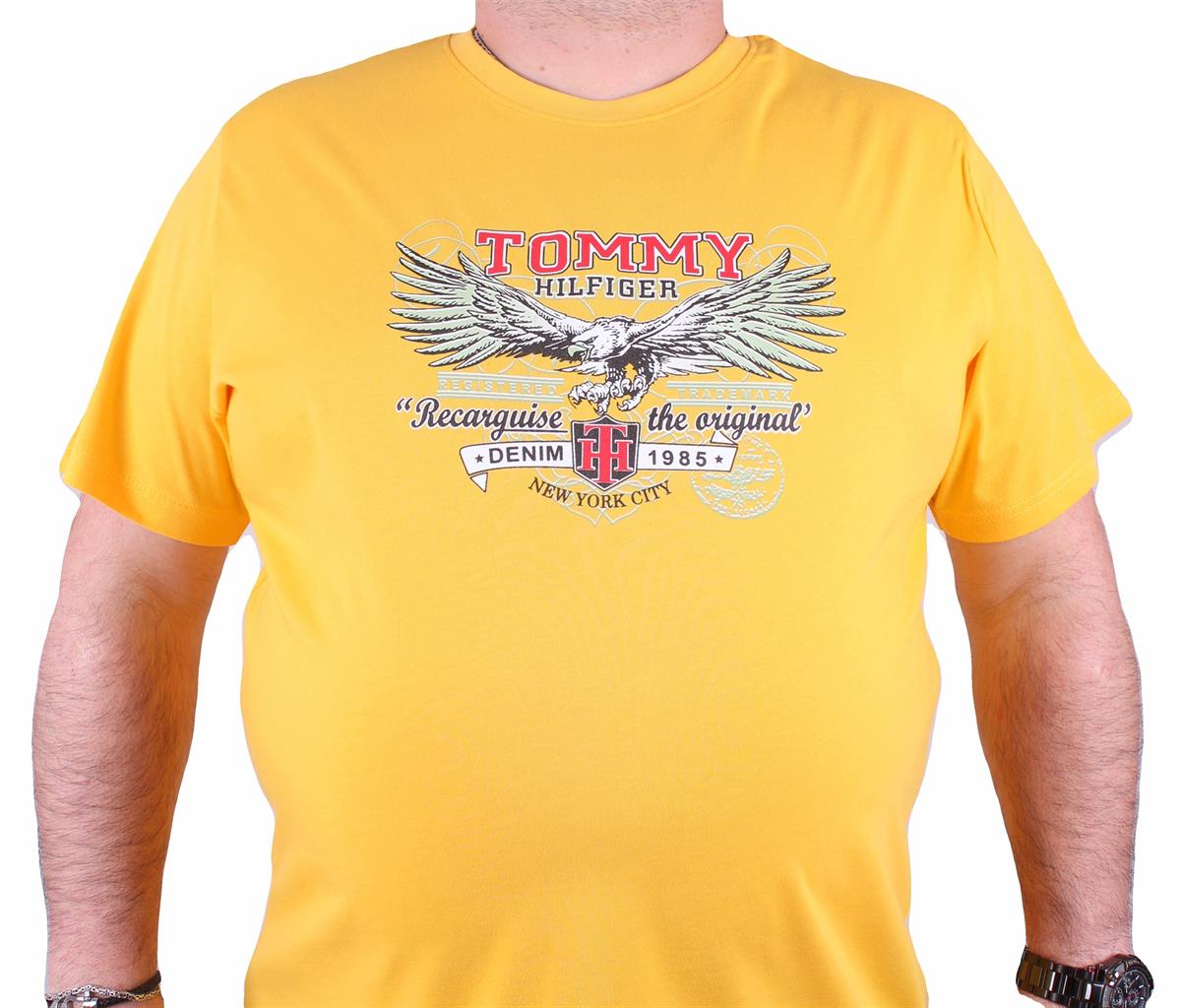 Erkek Büyük Beden TMY Tişört 23164 HARDAL