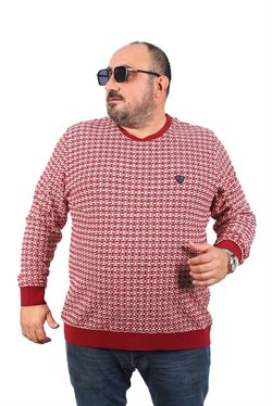 Starbattal Büyük Beden Erkek Bisiklet Yaka Sweatshirt 22715-778