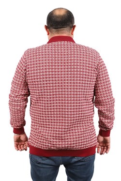 Starbattal Büyük Beden Erkek Sweatshirt Polo Yaka 22714-714