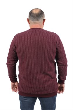 Starbattal Büyük Beden Sweat Heritage 22725-1877