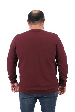 Starbattal Gipeli Sweat  Bisiklet Yaka Wreath 22713-2023