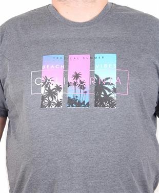 Starbattal Erkek Büyük Beden Sıfır Yaka Tişört California 25145 ANTRASİT MELANJ