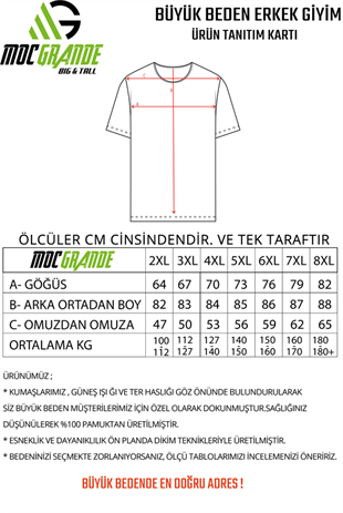 Starbattal Erkek Büyük Beden Sıfır Yaka Tişört Nothing 25173 SIYAH