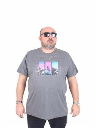 Starbattal Erkek Büyük Beden Sıfır Yaka Tişört California 25145 ANTRASİT MELANJ