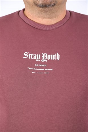 Starbattal Erkek Sweat Stray South 22730 LILA