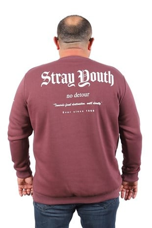 Starbattal Erkek Sweat Stray South 22730 LILA