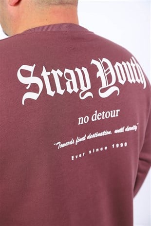 Starbattal Erkek Sweat Stray South 22730 LILA